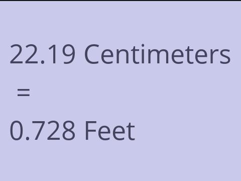 22.19 CM TO FEET