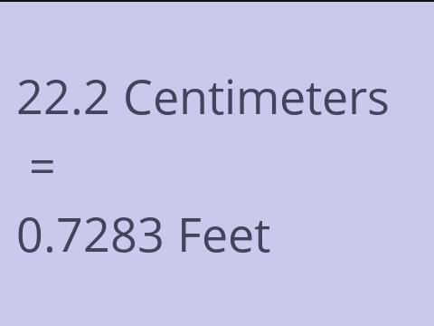 22.2 CM TO FEET