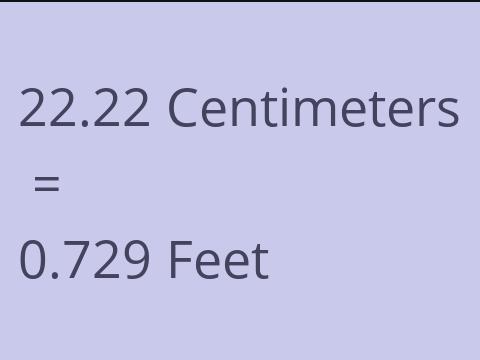 22.22 CM TO FEET