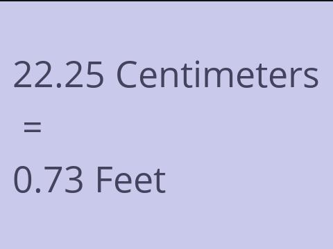 22.25 CM TO FEET