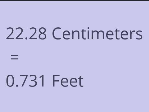 22.28 CM TO FEET