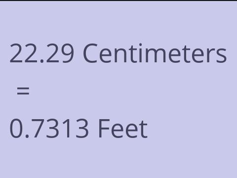 22.29 CM TO FEET