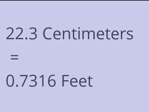 22.3 CM TO FEET