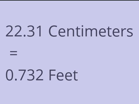 22.31 CM TO FEET