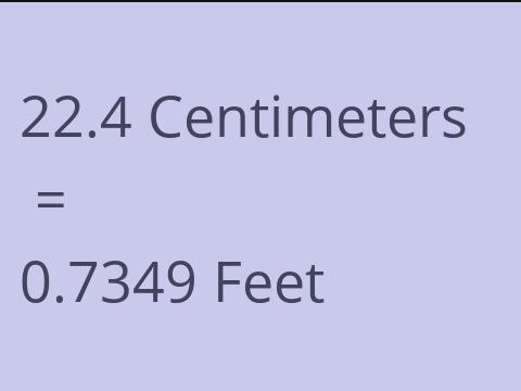 22.4 CM TO FEET