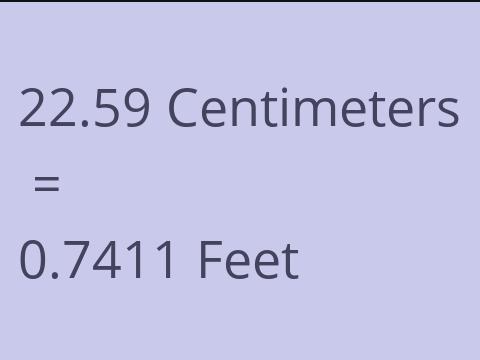 22.59 CM TO FEET