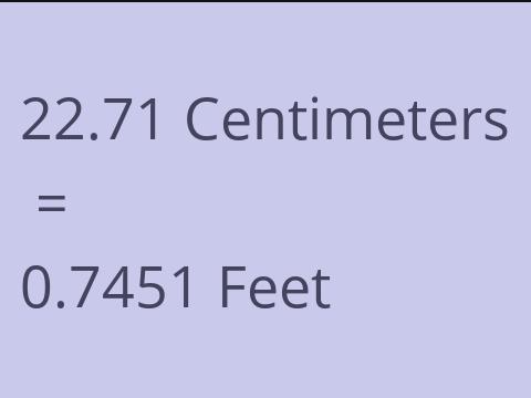 22.71 CM TO FEET