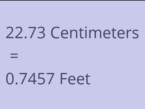 22.73 CM TO FEET