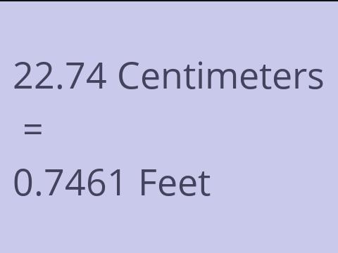 22.74 CM TO FEET