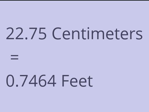 22.75 CM TO FEET