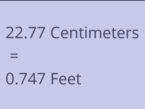 22.77 CM TO FEET