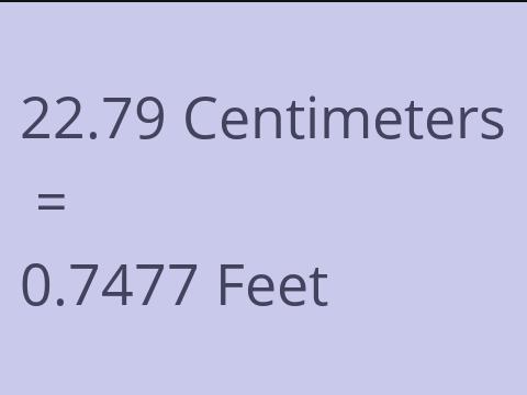 22.79 CM TO FEET