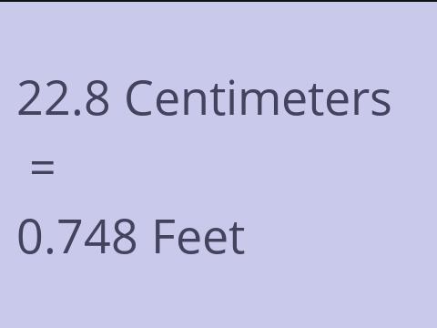 22.8 CM TO FEET