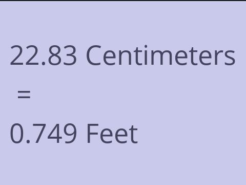 22.83 CM TO FEET