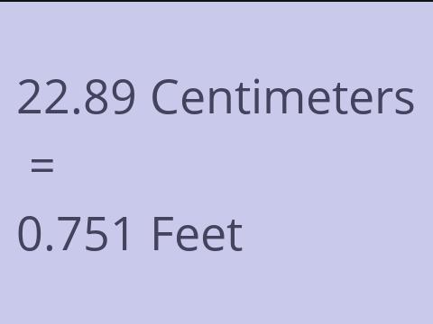 22.89 CM TO FEET