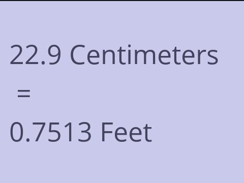 22.9 CM TO FEET