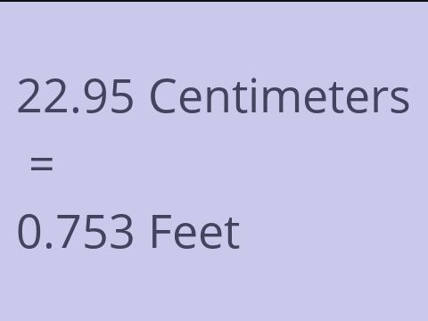 22.95 CM TO FEET