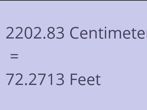 2202.83 CM TO FEET