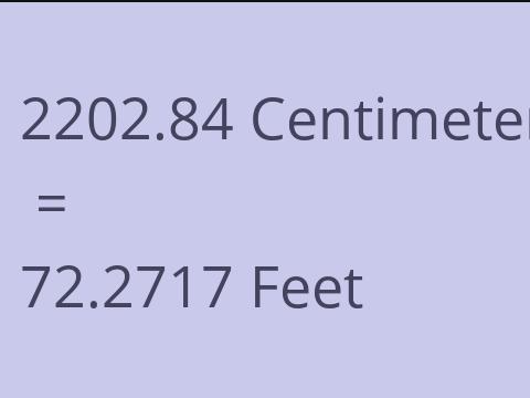 2202.84 CM TO FEET