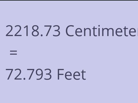 2218.73 CM TO FEET