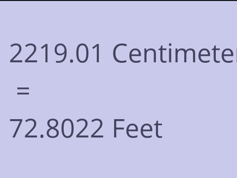 2219.01 CM TO FEET