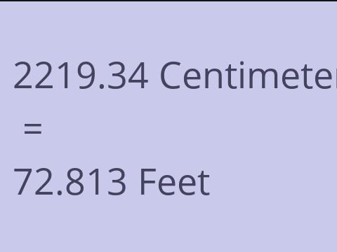 2219.34 CM TO FEET