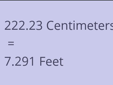 222.23 CM TO FEET