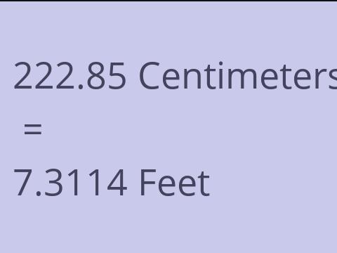 222.85 CM TO FEET