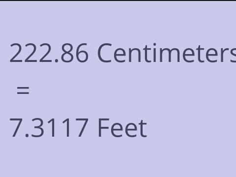 222.86 CM TO FEET