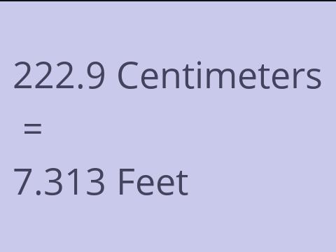 222.9 CM TO FEET