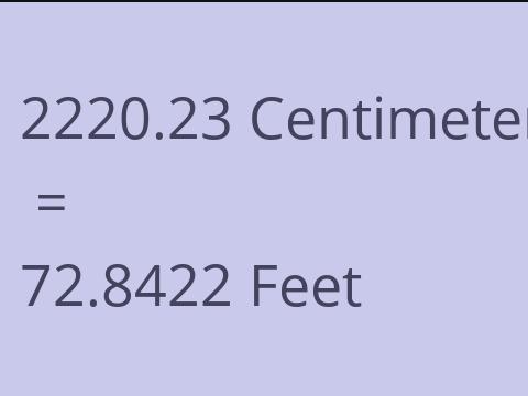 2220.23 CM TO FEET
