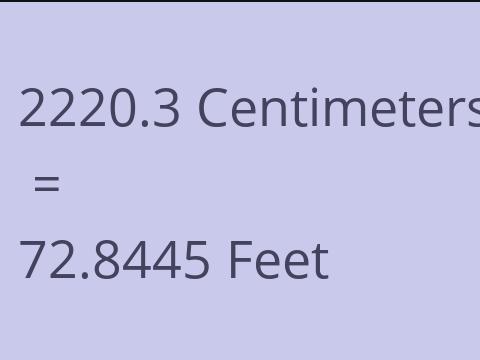 2220.3 CM TO FEET