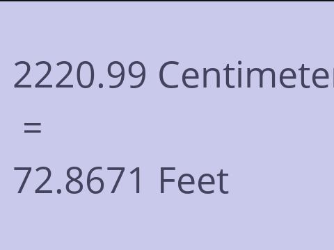 2220.99 CM TO FEET
