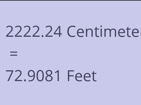 2222.24 CM TO FEET
