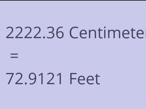 2222.36 CM TO FEET