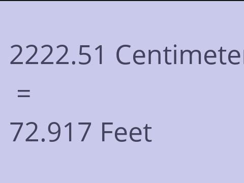 2222.51 CM TO FEET