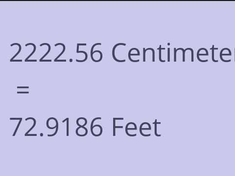 2222.56 CM TO FEET