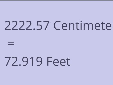 2222.57 CM TO FEET