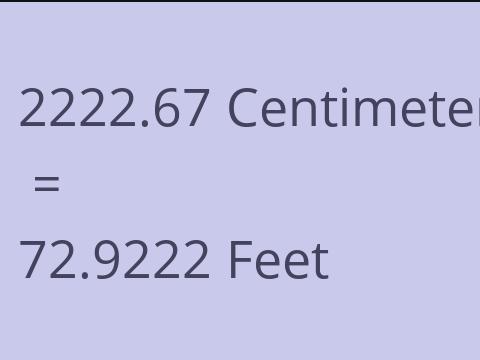 2222.67 CM TO FEET