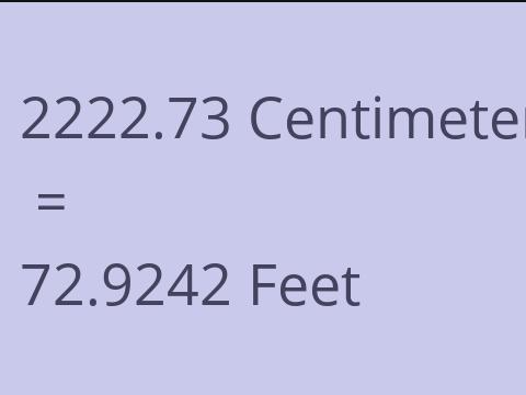 2222.73 CM TO FEET