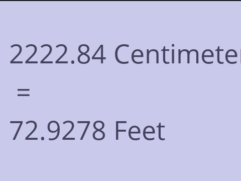 2222.84 CM TO FEET