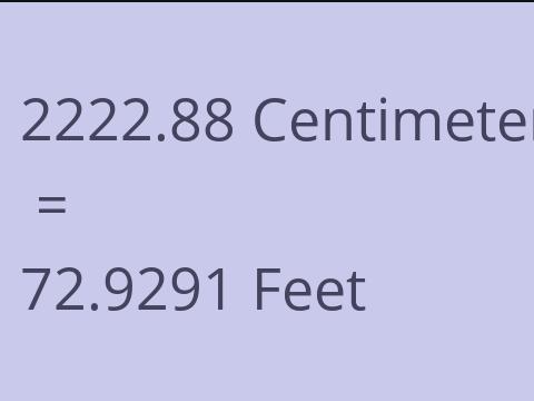 2222.88 CM TO FEET
