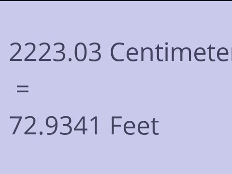 2223.03 CM TO FEET