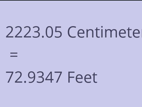 2223.05 CM TO FEET