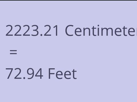 2223.21 CM TO FEET