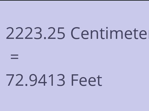 2223.25 CM TO FEET