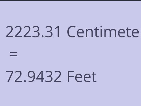 2223.31 CM TO FEET