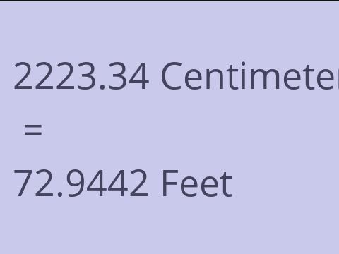 2223.34 CM TO FEET