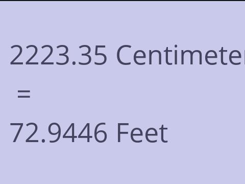2223.35 CM TO FEET