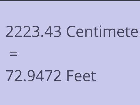 2223.43 CM TO FEET